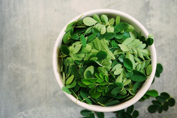 Fresh Moringa or muringa leaves ina bowl, selective focus